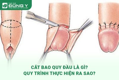 cat-bao-quy-dau