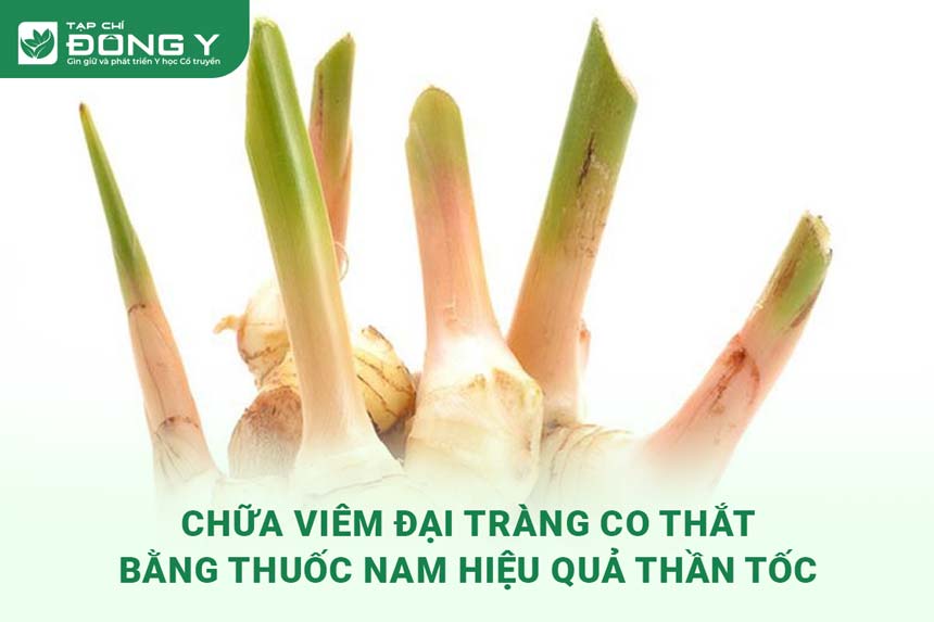 chua-viem-dai-trang-co-that-bang-thuoc-nam