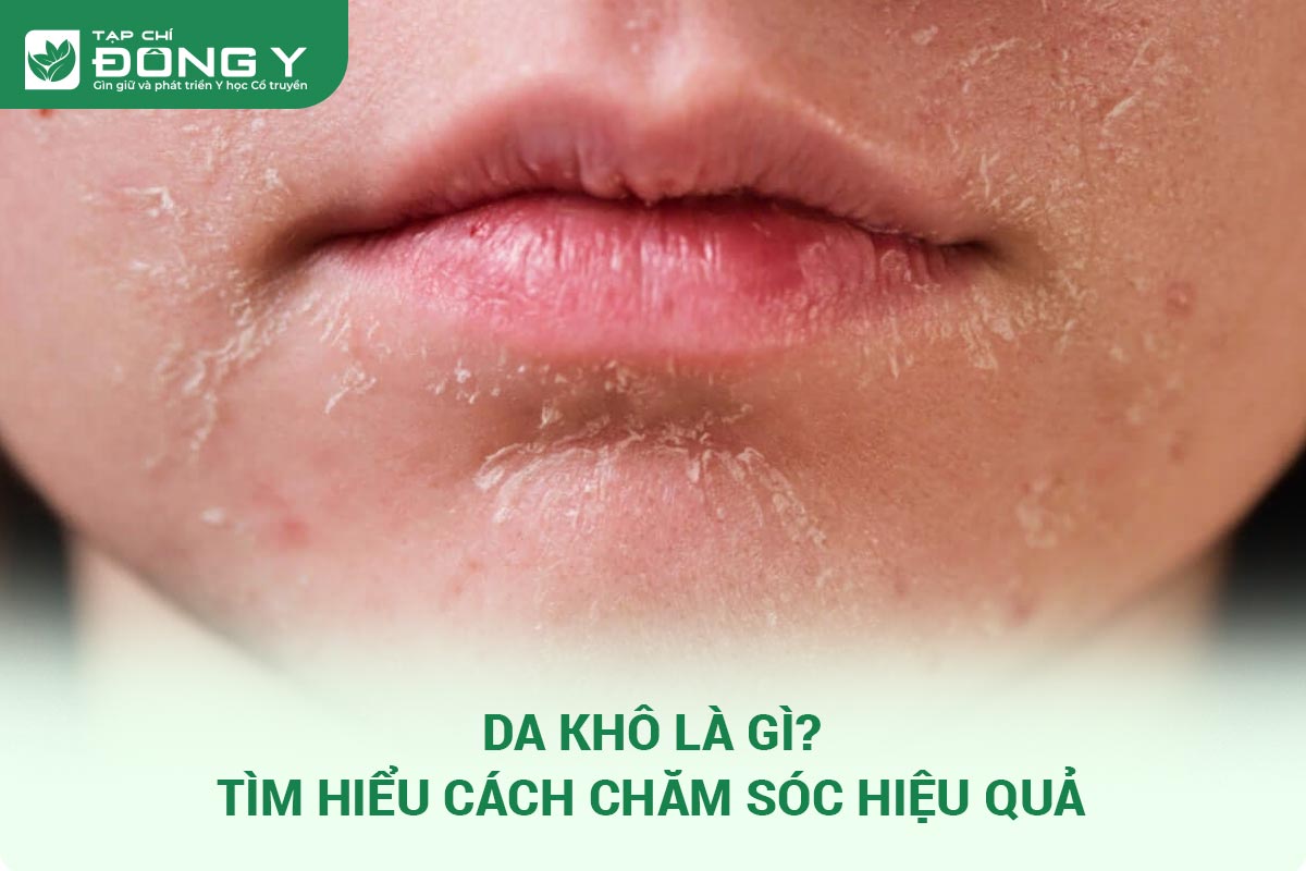 Da khô