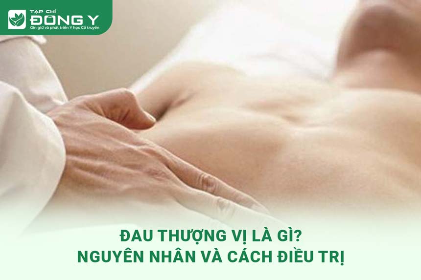 dau-thuong-vi