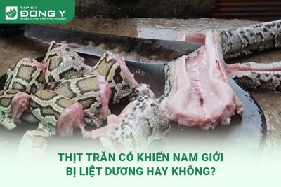 thit-tran