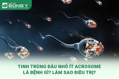 tinh-trung-dau-nho-it-acrosome