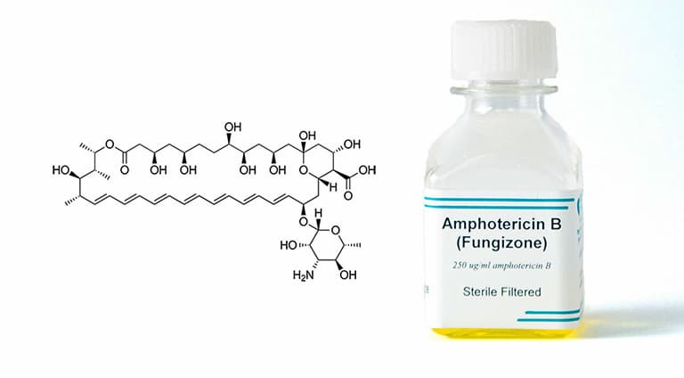Thuốc kháng nấm Amphotericin B