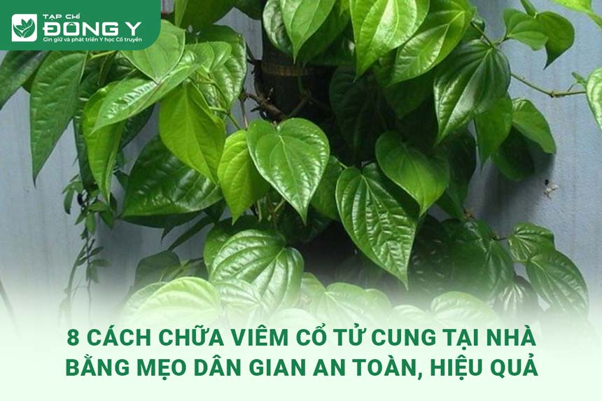 cach-chua-viem-co-tu-cung-tai-nha