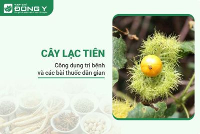 cay-lac-tien