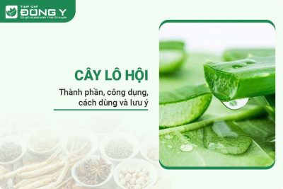 cay-lo-hoi