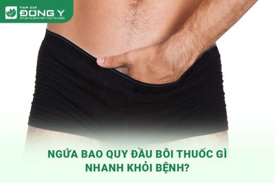 ngua-bao-quy-dau-boi-thuoc-gi