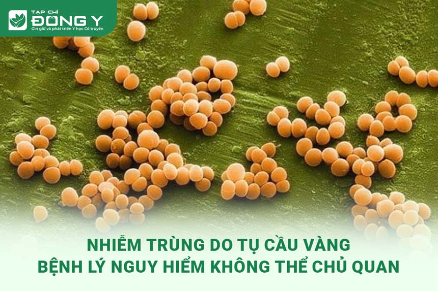 nhiem-trung-do-tu-cau-vang