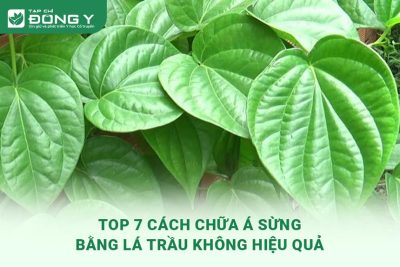 chua-a-sung-bang-la-trau-khong