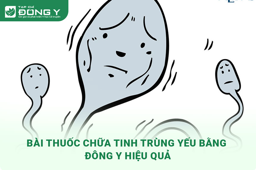img-hinh-anh-bai-thuoc-chua-tinh-trung-yeu-1