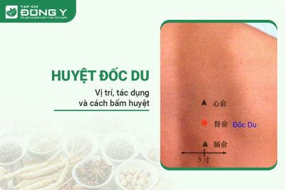 huyet-doc-du