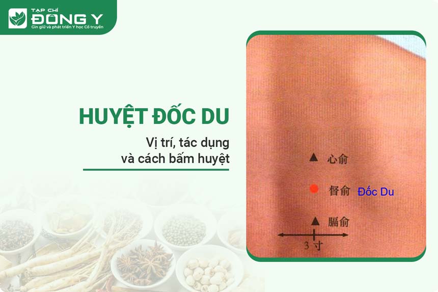 huyet-doc-du