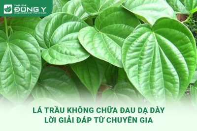 la-trau-khong-chua-dau-da-day