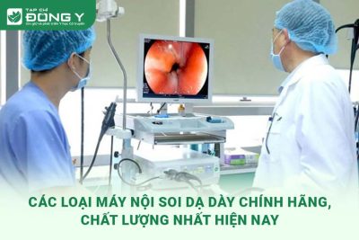 may-noi-soi-da-day