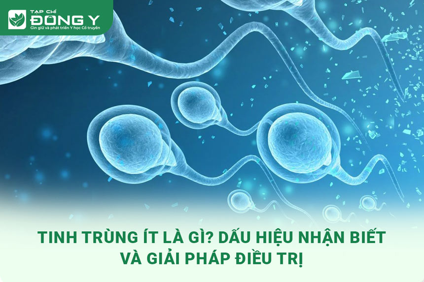 tinh-trung-it
