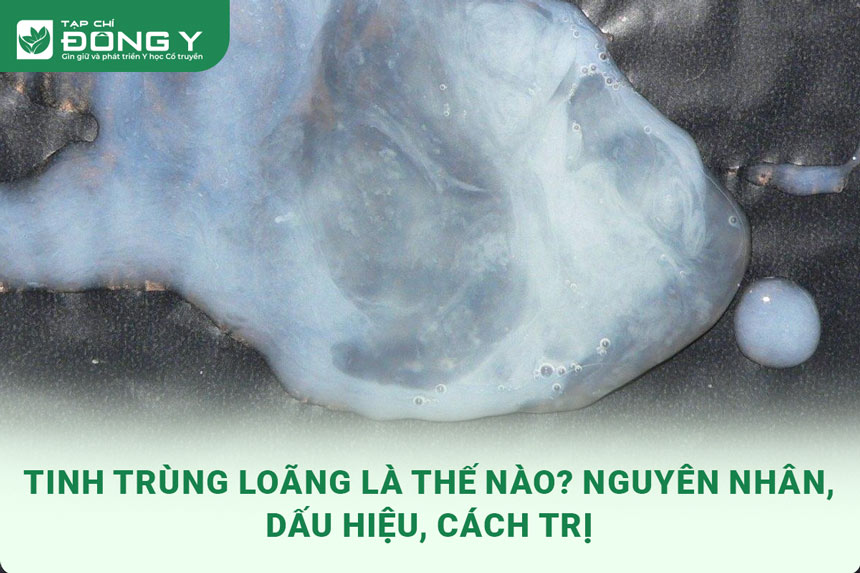 tinh-trung-loang