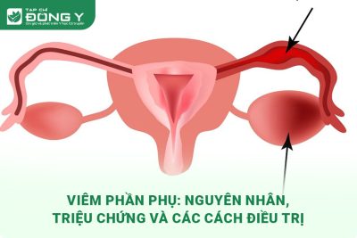 viem-phan-phu