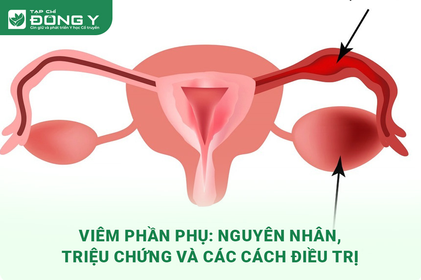 viem-phan-phu
