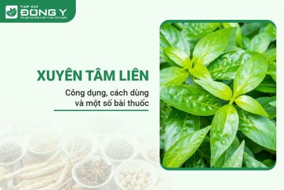 xuyen-tam-lien