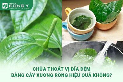 chua-thoat-vi-dia-dem-bang-la-lot