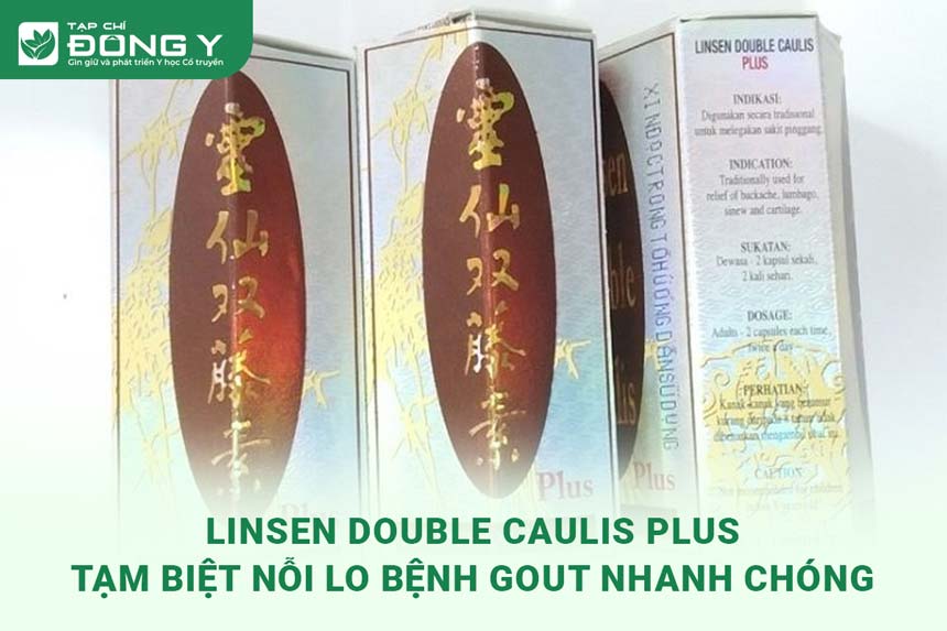 linsen-double-caulis