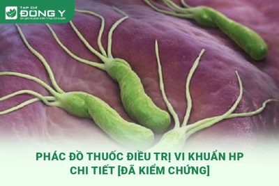 phac-do-dieu-tri-vi-khuan-hp