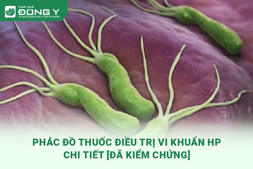 phac-do-dieu-tri-vi-khuan-hp