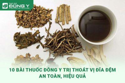 thuoc-dong-y-tri-thoat-vi-dia-dem