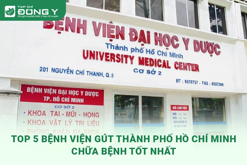 vien-gut-thanh-pho-thanh-pho-ho-chi-minh