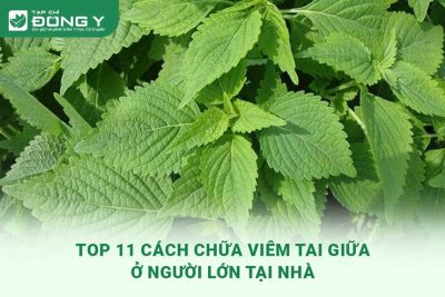 cach-chua-viem-tai-giua-o-nguoi-lon-tai-nha