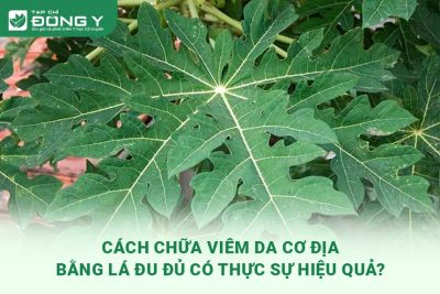 chua-viem-da-co-dia-bang-la-du-du
