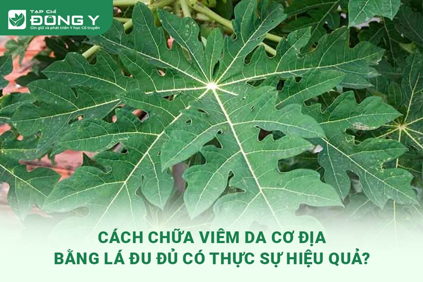 chua-viem-da-co-dia-bang-la-du-du