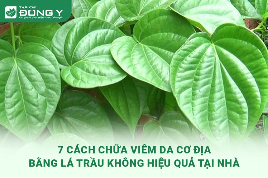 chua-viem-da-co-dia-bang-la-trau-khong
