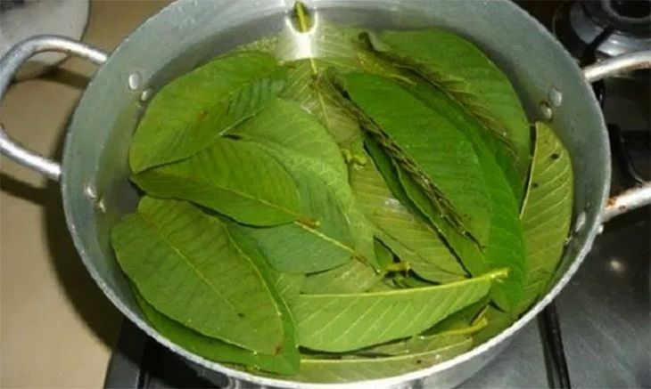 Đun nước tắm - Cách trị viêm da cơ địa bằng lá ổi lành tính nhất