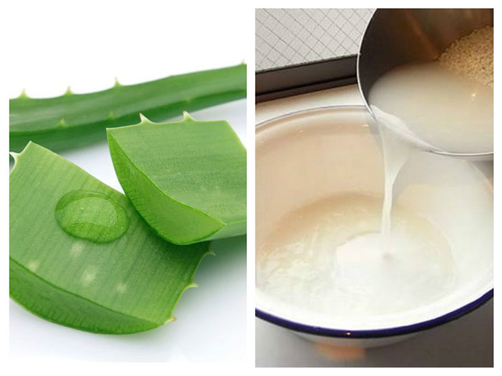 Nha đam là một nguyên liệu có khả năng dưỡng ẩm, kháng viêm