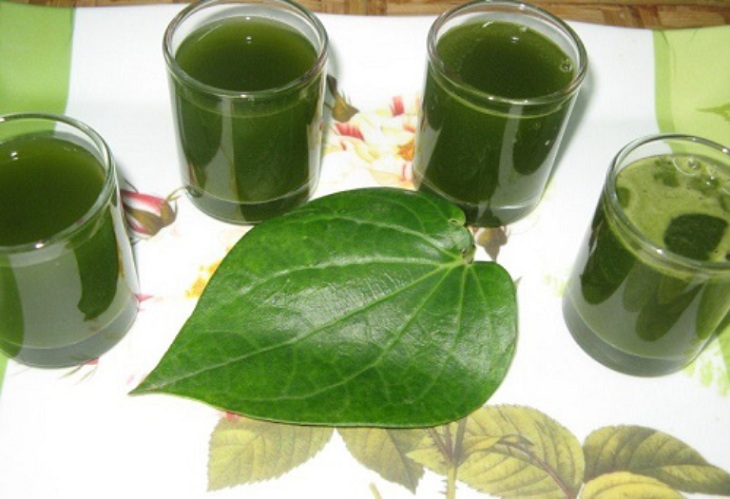 Bài thuốc uống điều trị viêm da cơ địa bằng lá trầu không