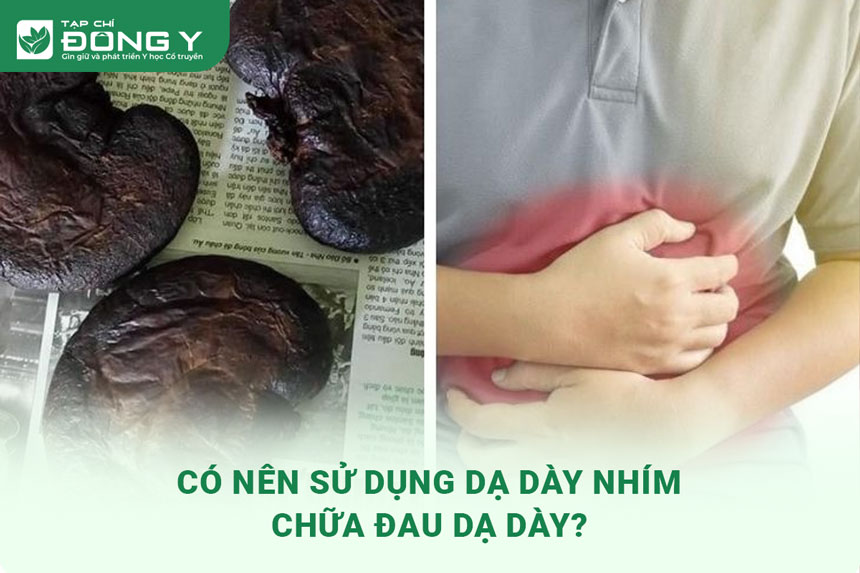 da-day-nhim-chua-dau-da-day