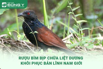 ruou-bim-bip