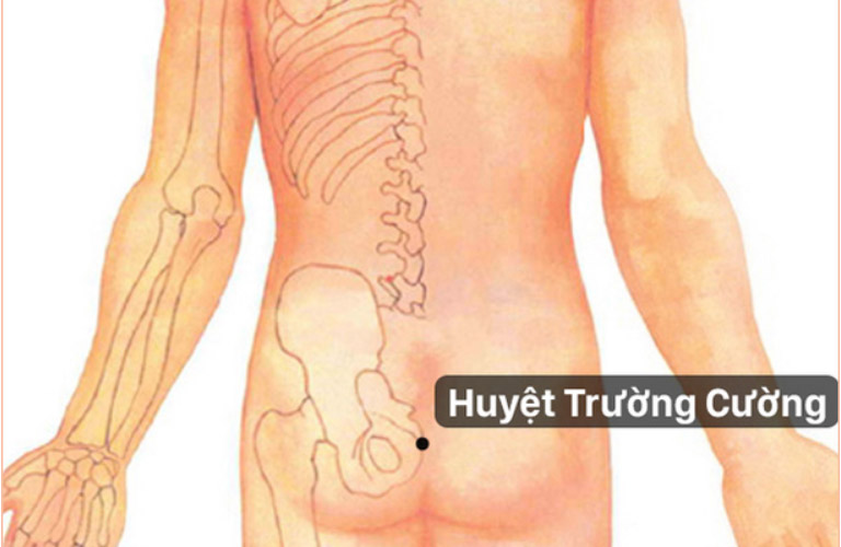 Huyệt trường cường