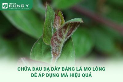 chua-dau-da-day-bang-la-mo