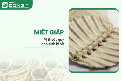 miet-giap