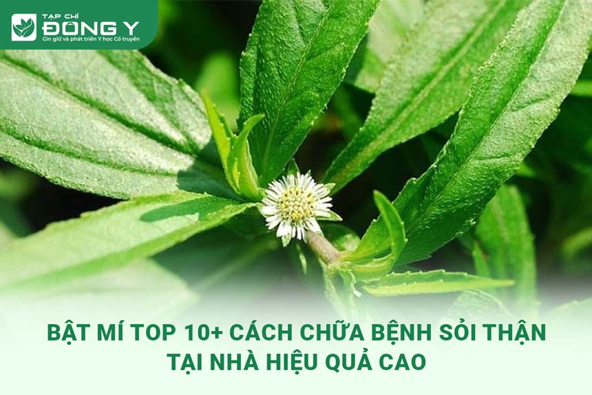 chua-benh-soi-than-tai-nha