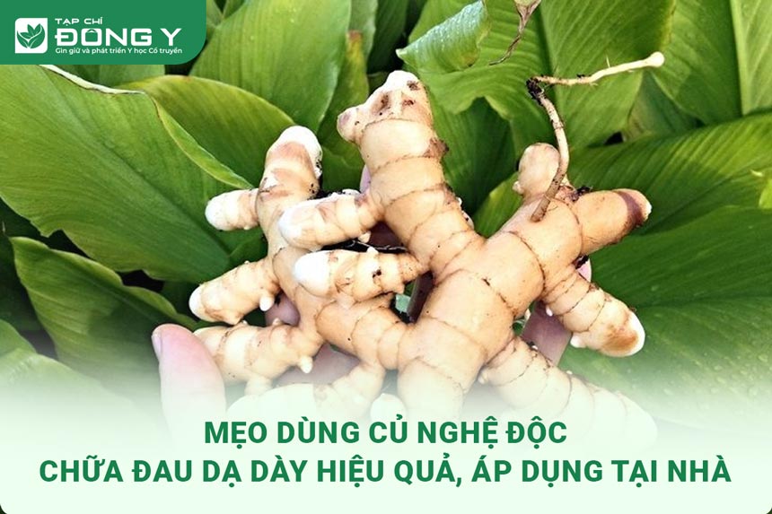cu-nghe-doc-chua-dau-da-day
