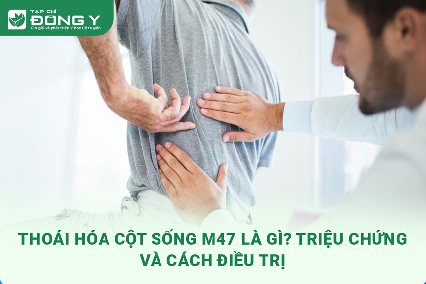 thoai-hoa-cot-song-m47