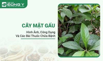 cay-mat-gau