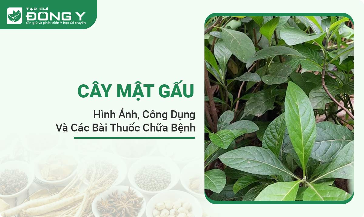 cay-mat-gau
