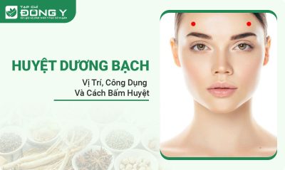 huyet-duong-bach