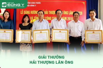 giai-thuong-hai-thuong-lan-ong