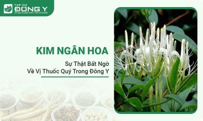 kim-ngan-hoa