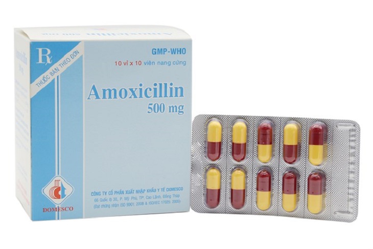 Amoxicilline là loại thuốc hỗ trợ điều trị vi khuẩn HP hiệu quả Amoxicilline là loại thuốc hỗ trợ điều trị vi khuẩn HP hiệu quả
